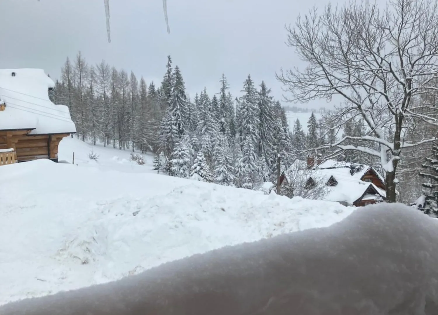 Mala Bawaria Otel Zakopane