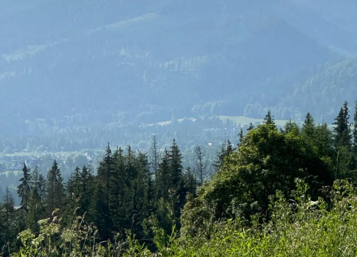 Konukevi Mala Bawaria Otel Zakopane